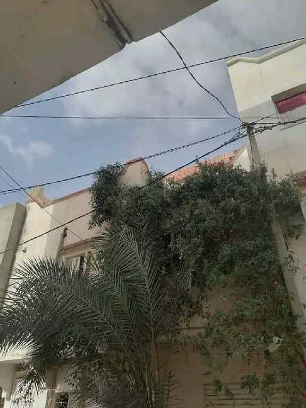 selected image