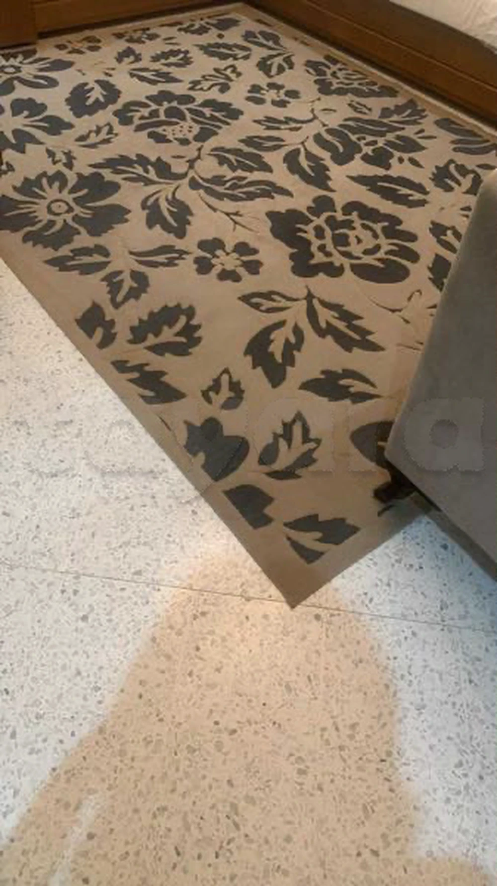 tayara - Selected image backdrop