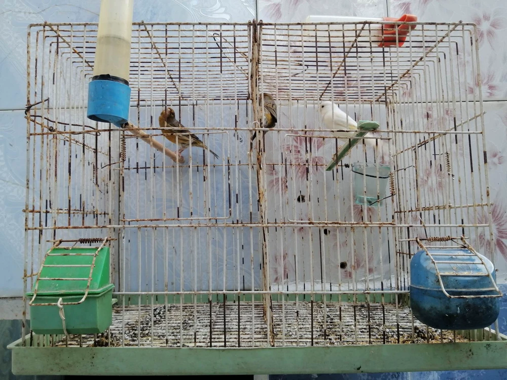 selected image