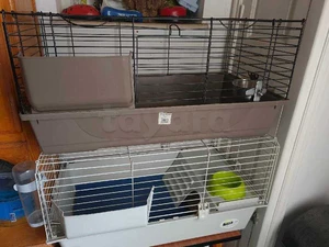 Cage pour lapins ou animaux