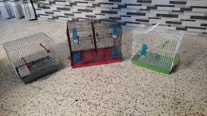 cage oiseaux 