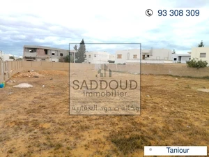 À vendre terrain 981m² clôturé R+2, à Route Taniour km 8 , markaz ammar