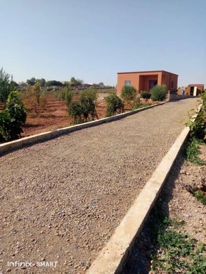 une petite ferme  à Jdaida Mahfour plantée olives et arbres fruitiers a mahfoura jedaida