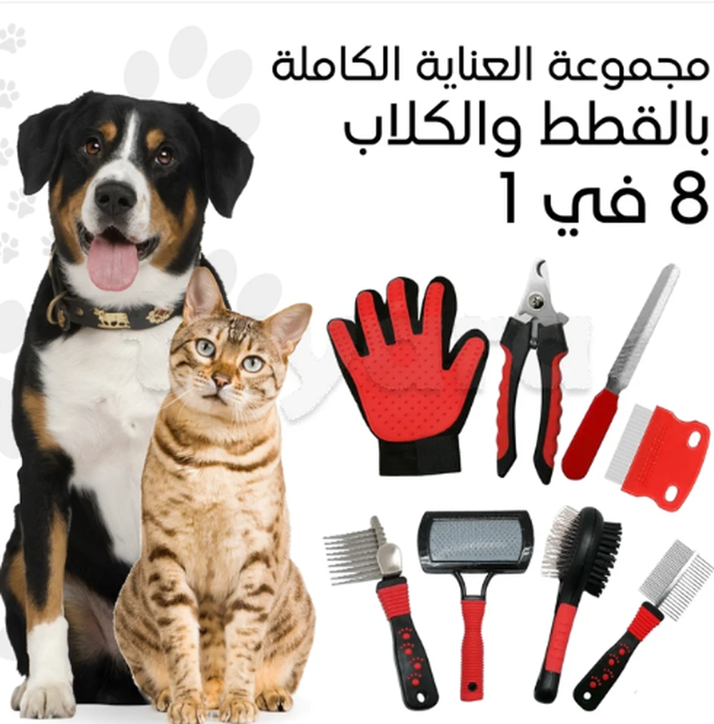 tayara - Selected image backdrop