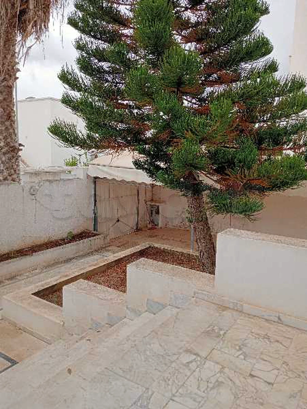 selected image
