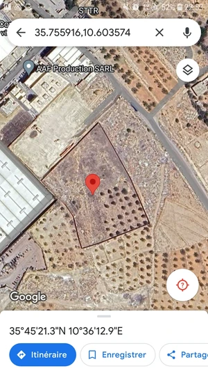 Terrain industriel à vendre d'une superficie de plus de 12.000 mètres carrés dans le Gouvernorat de Sousse