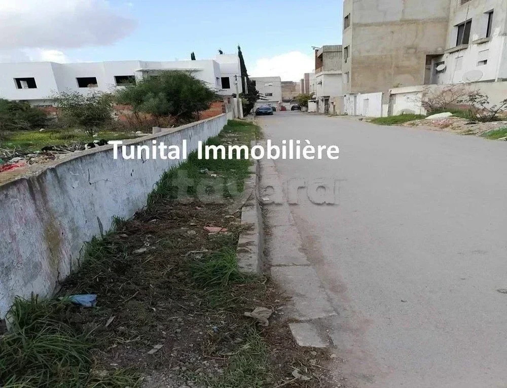 selected image