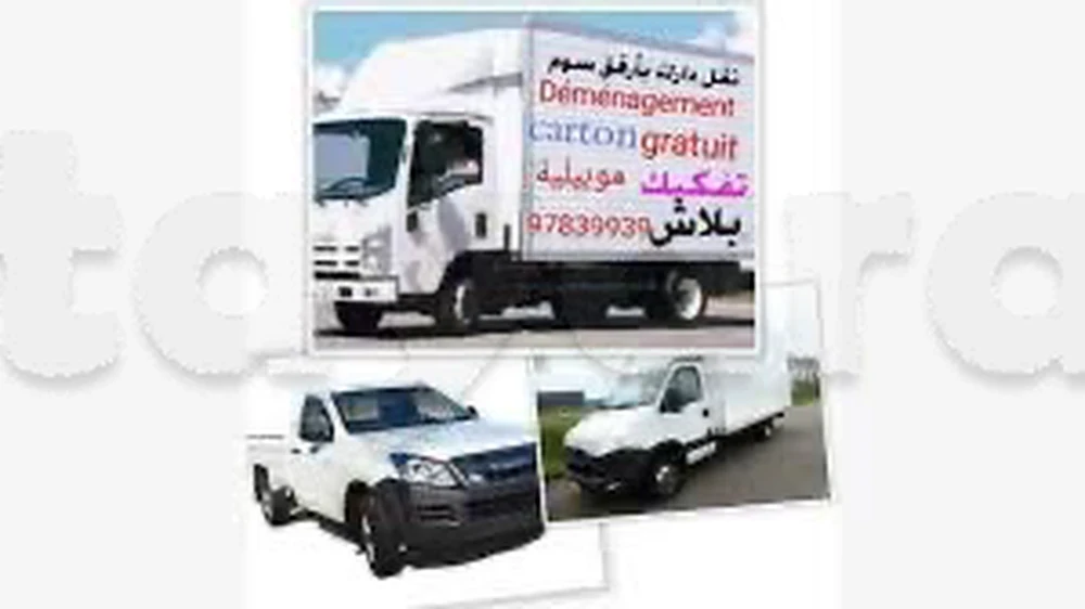 tayara - Selected image backdrop