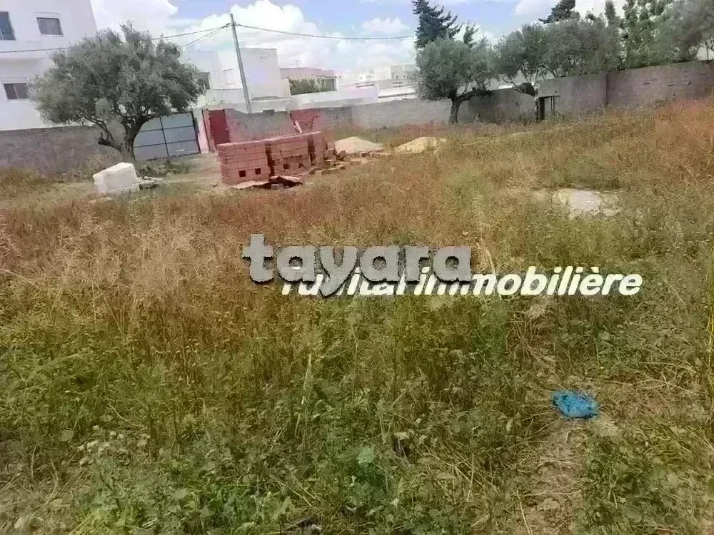 selected image