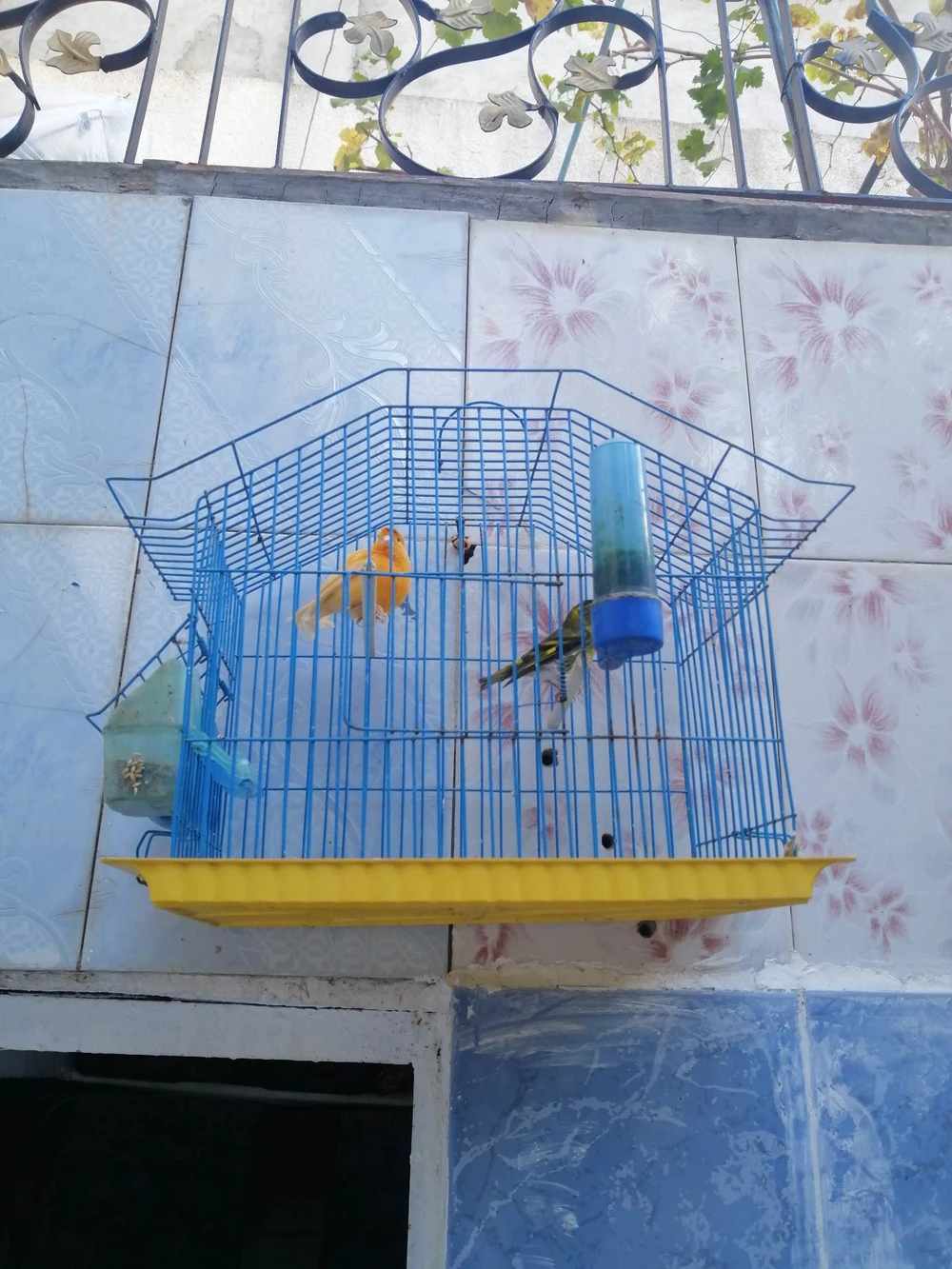 selected image