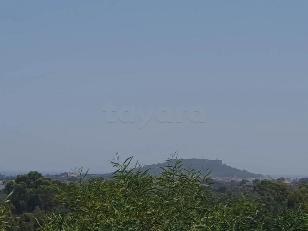selected image