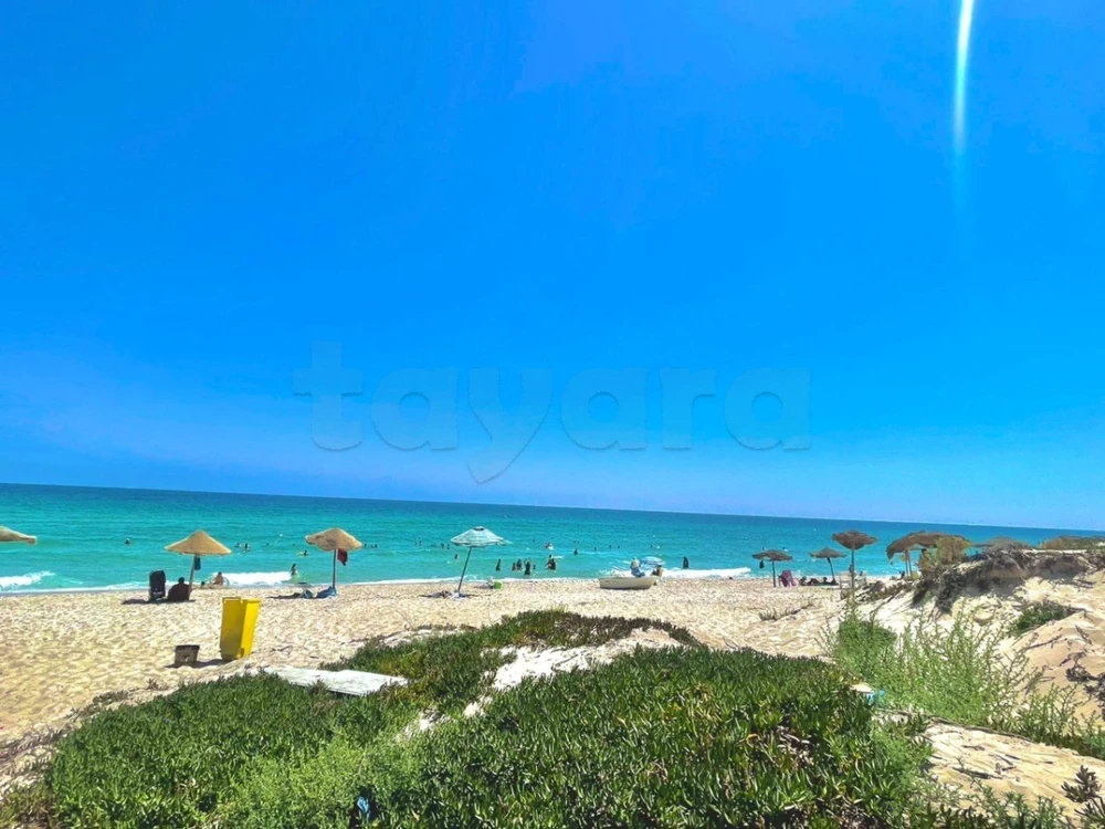 tayara - Selected image backdrop