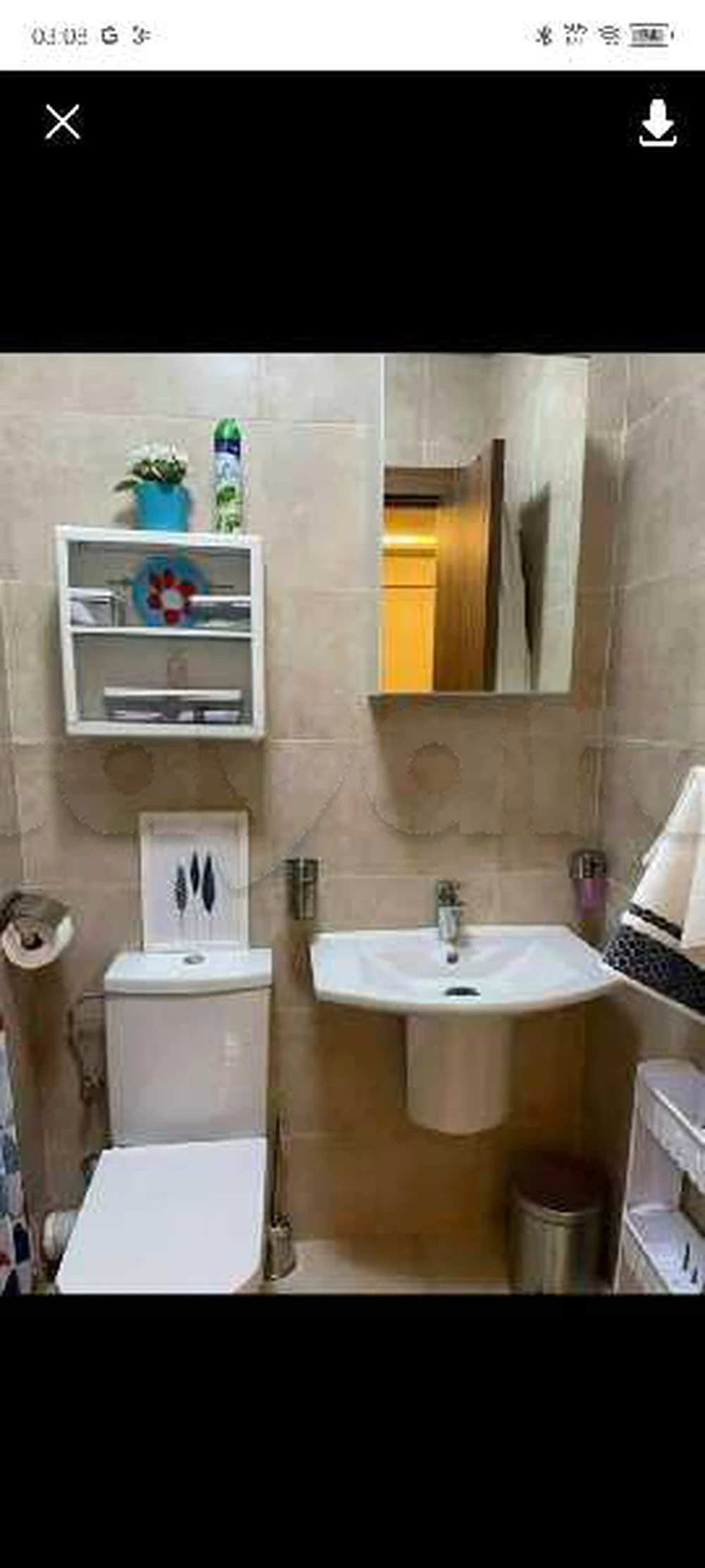 selected image