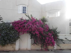 Maison à 2 niveaux à Sidi Bouzid en Face de l'ISET