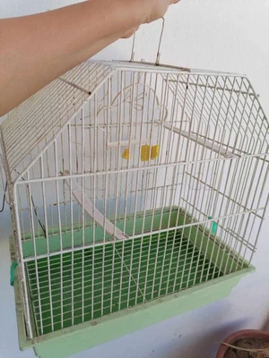 Cage des oiseaux