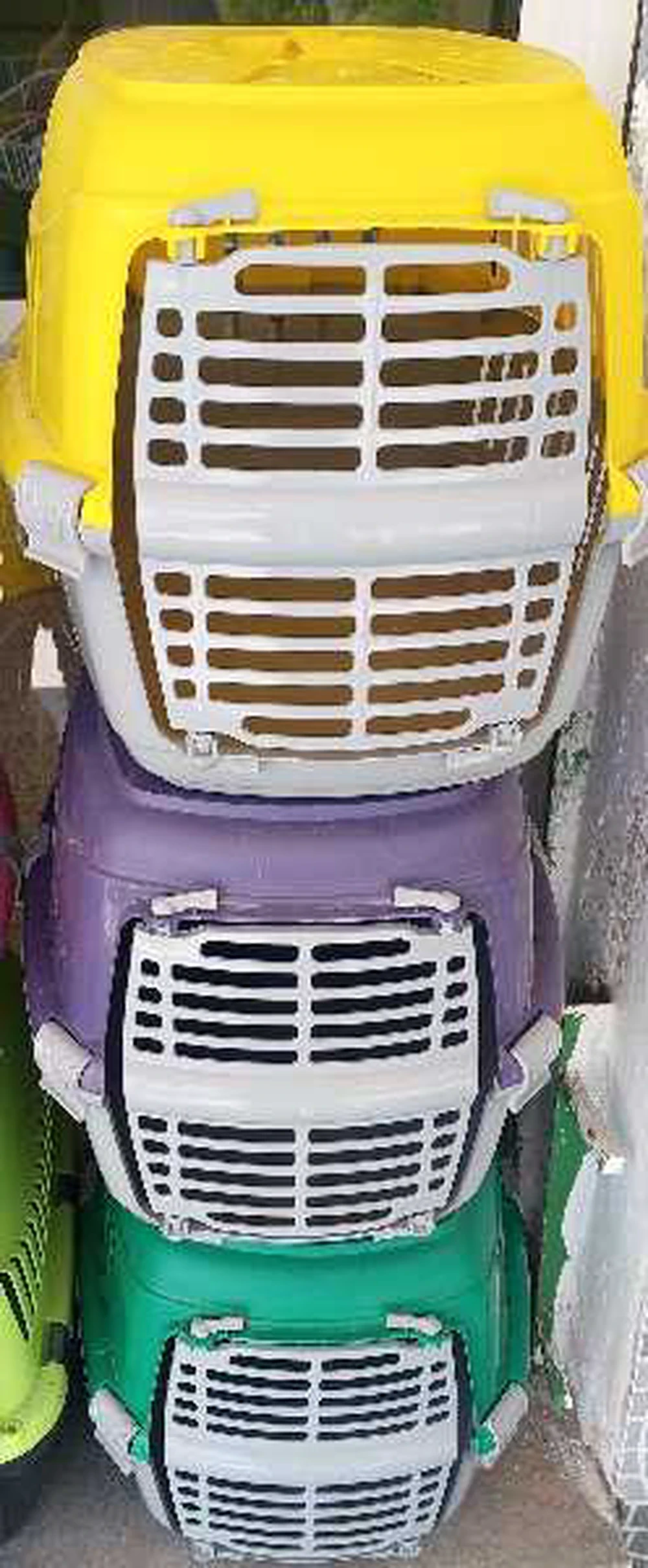 selected image