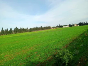 terrain agricole à Grombalia