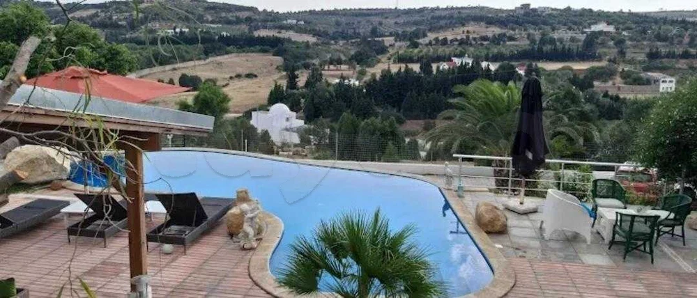 selected image