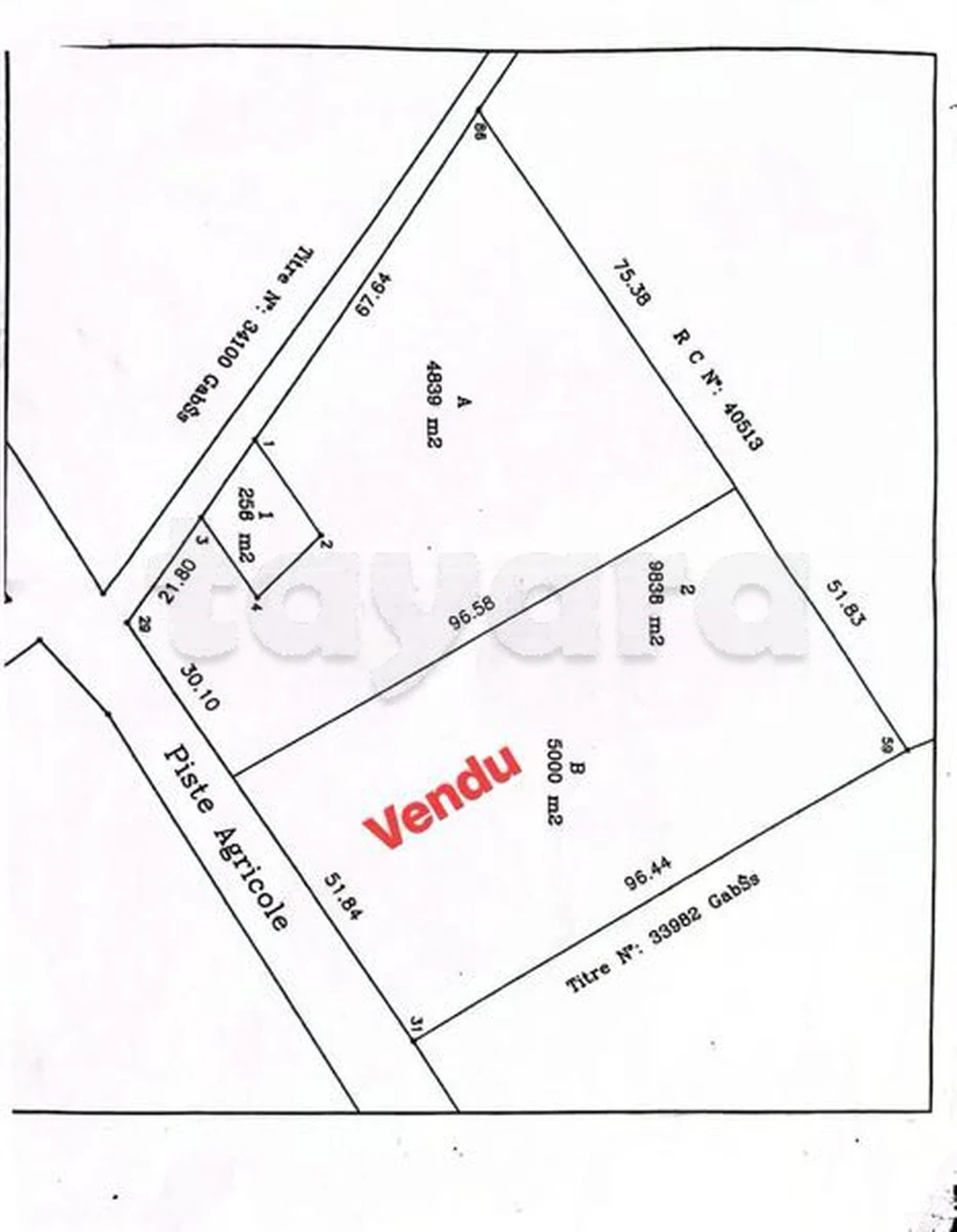selected image