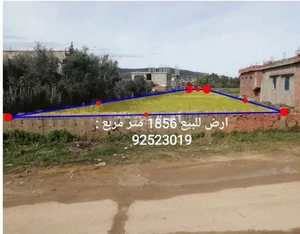 طبرقة : ارض للبيع المكان : اولاد علي الحوامدية