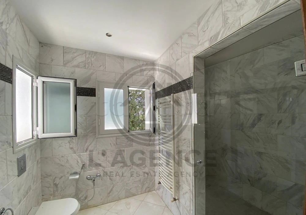 tayara - Selected image backdrop