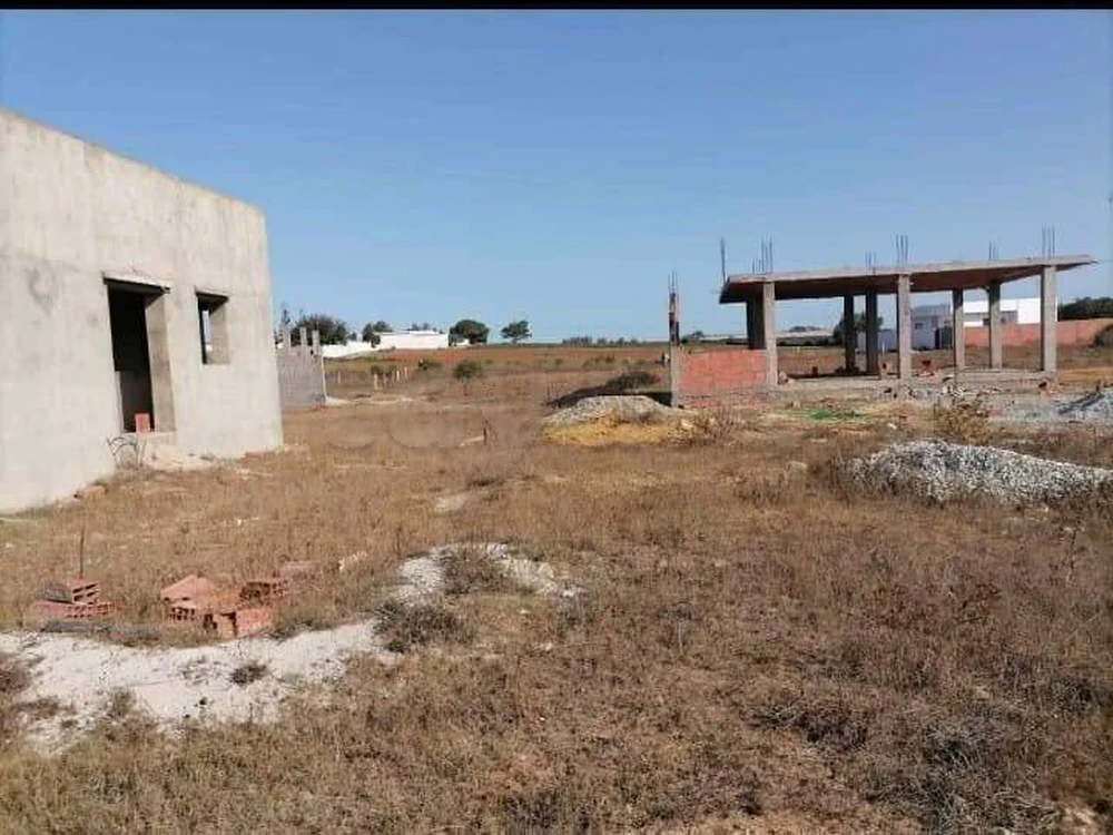 selected image