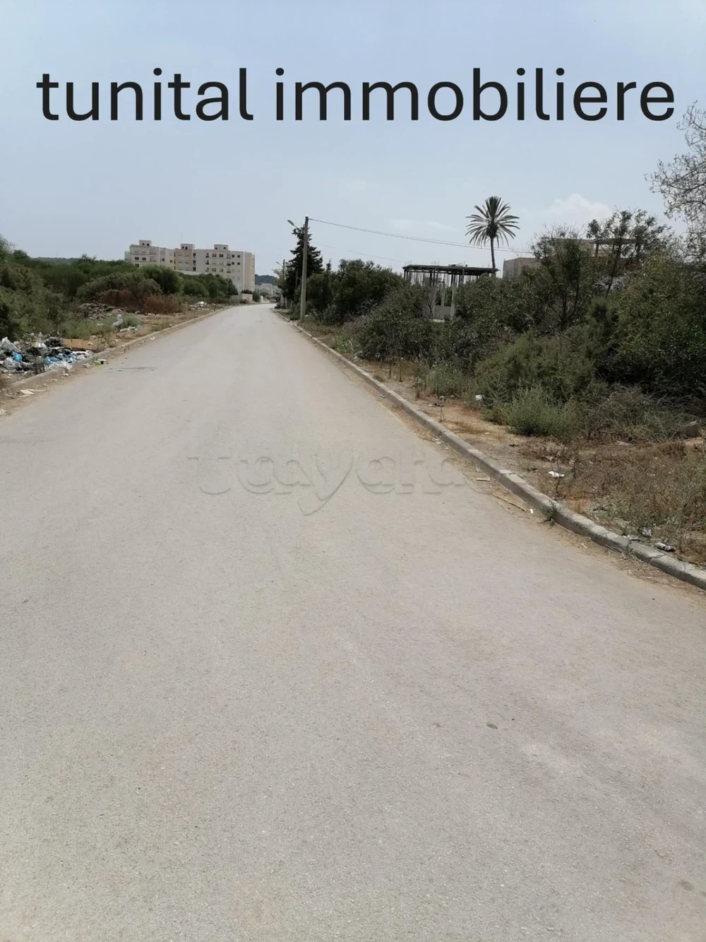 selected image