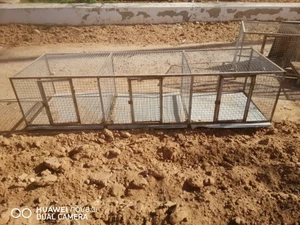 Cage pour élevage des pigeons