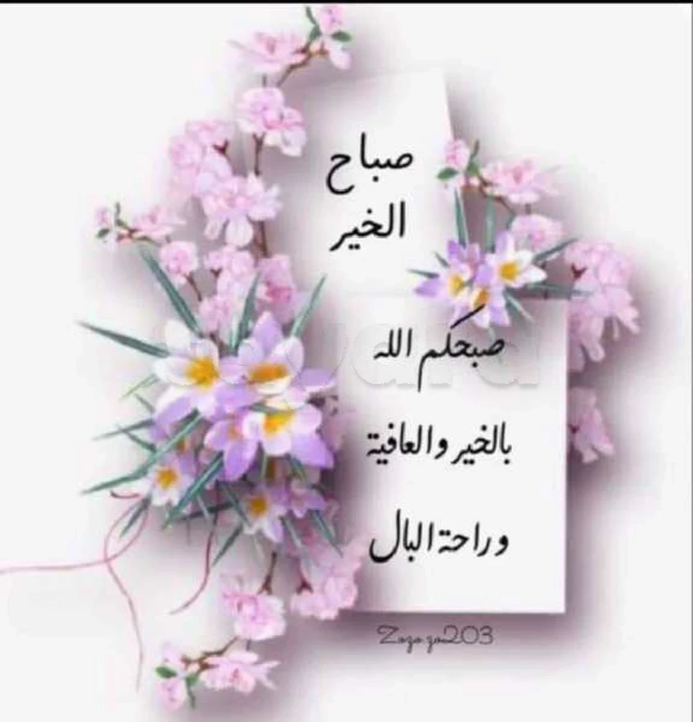 tayara - Selected image backdrop