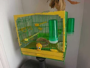 une cage d'oiseaux 