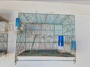 cages oiseaux 