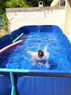 piscine rectangulaire 