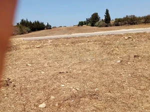 عقار فلاحي للبيع 