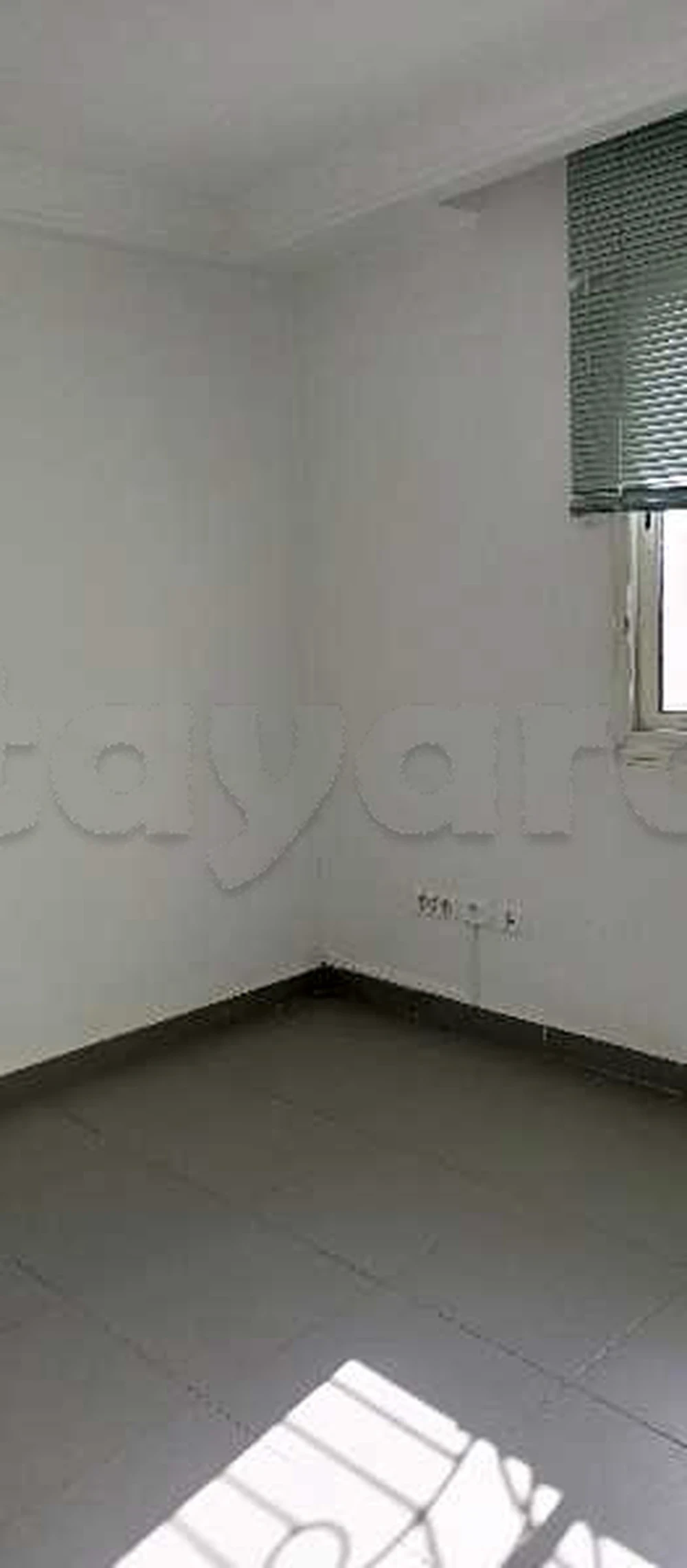 tayara - Selected image backdrop