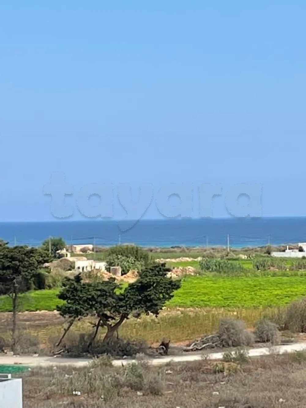tayara - Selected image backdrop