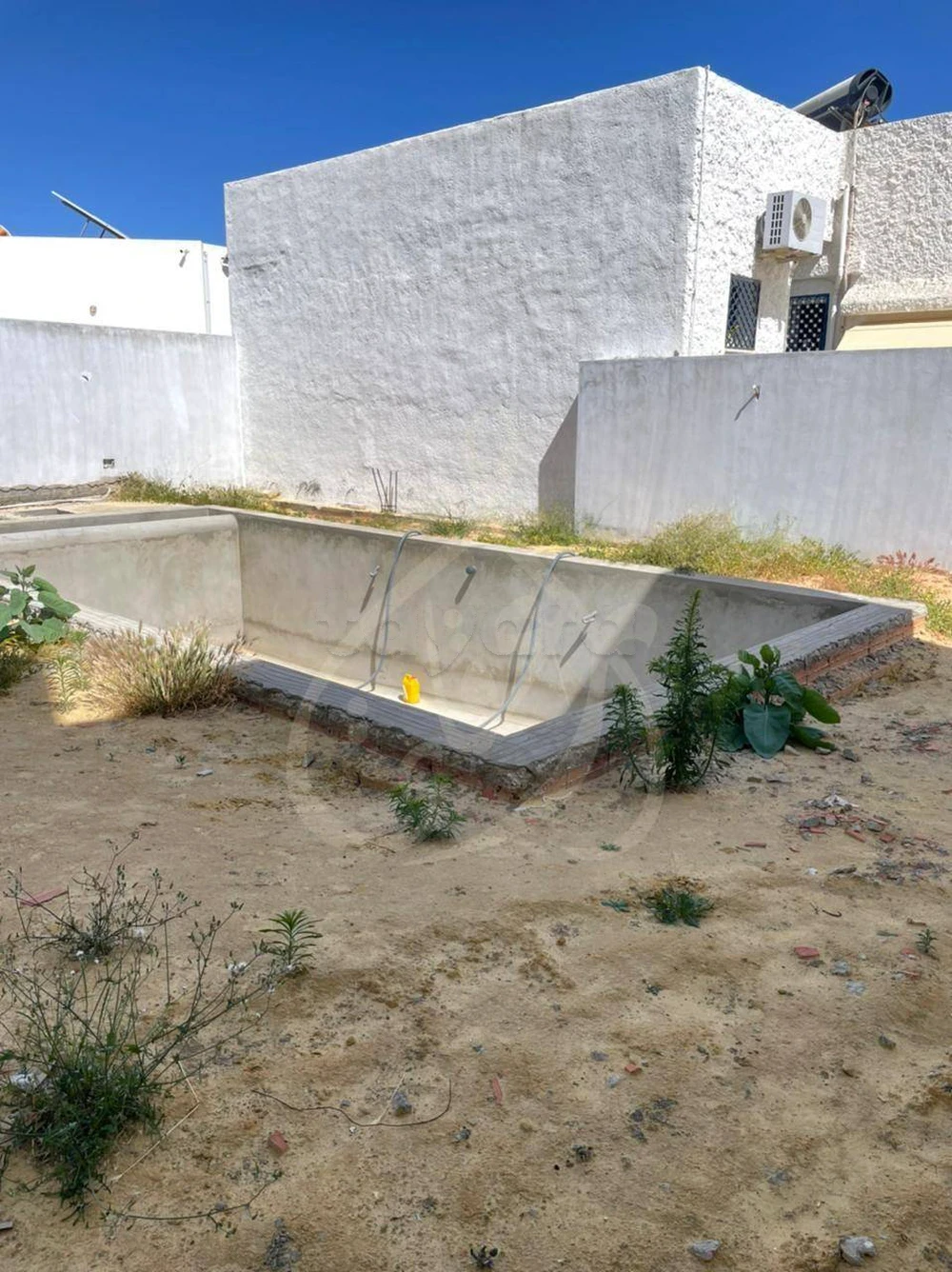 selected image