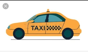  chauffeur taxi