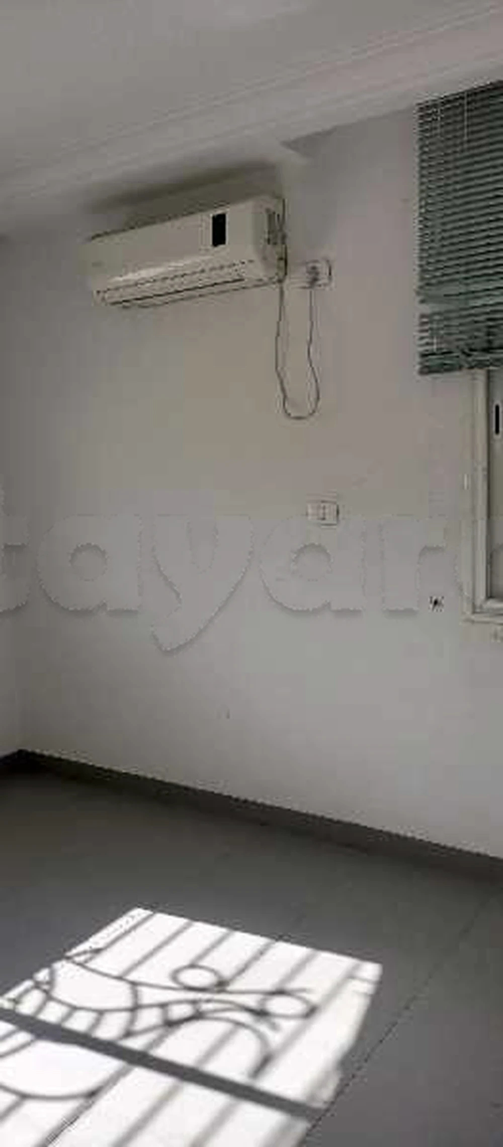 tayara - Selected image backdrop
