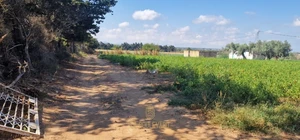 A vendre terrain agricole de 5hectares à haouaria, Nabeul 