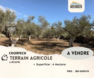 Terrain agricole Chorfech