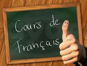 Cours particuliers de la langue française 