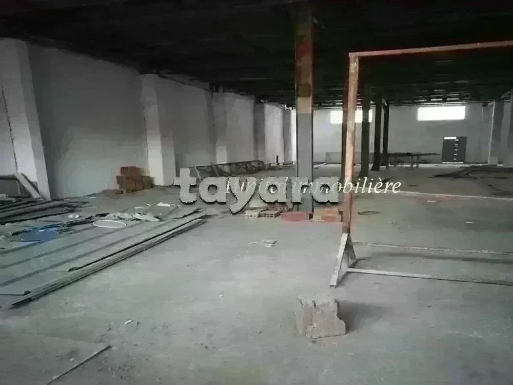tayara - Selected image backdrop