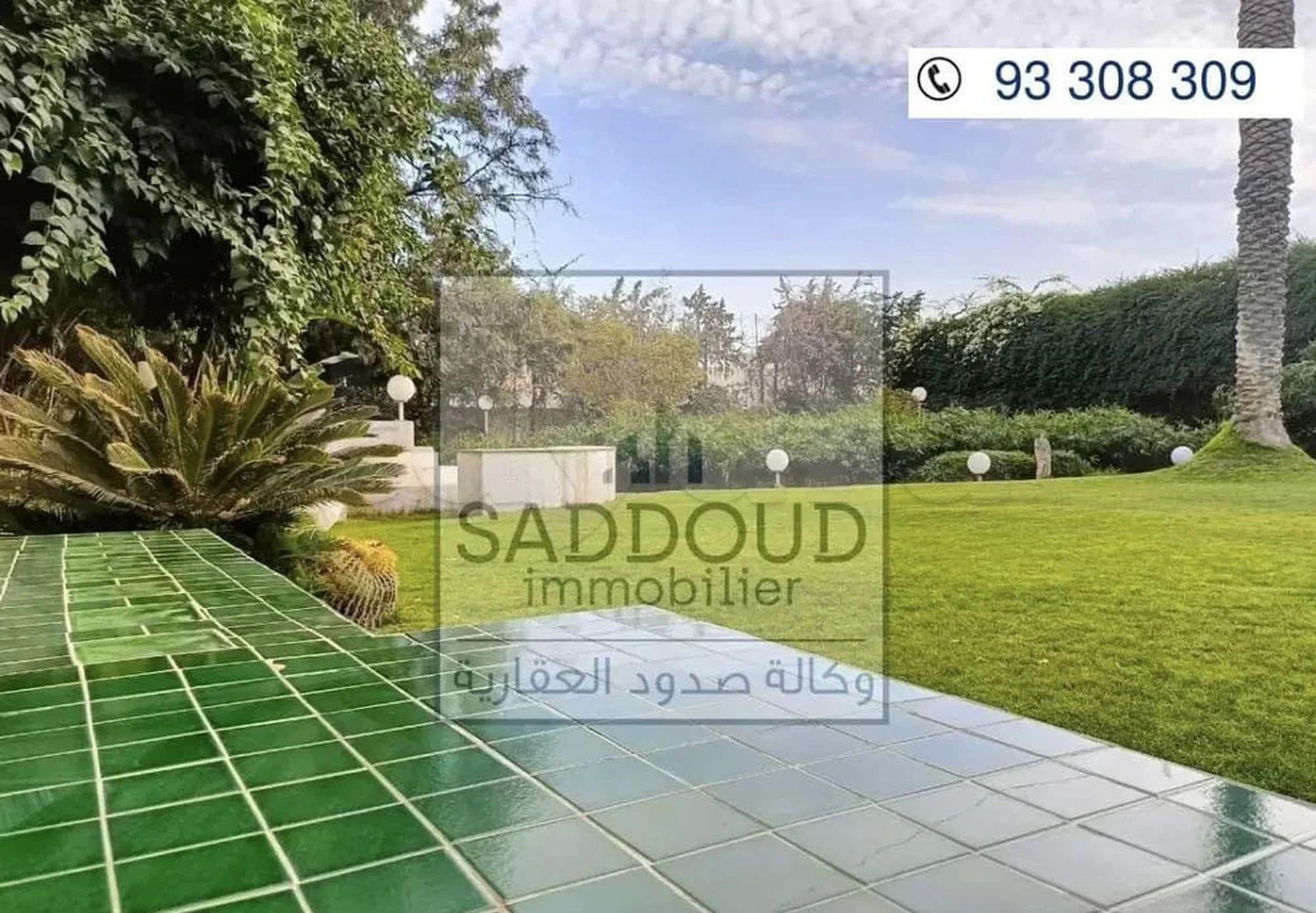 tayara shop cover of Saddoud Immobilier 