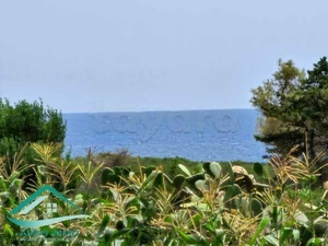 Terrain 1149 m²  à 250 mètres de plage Kerkouan  