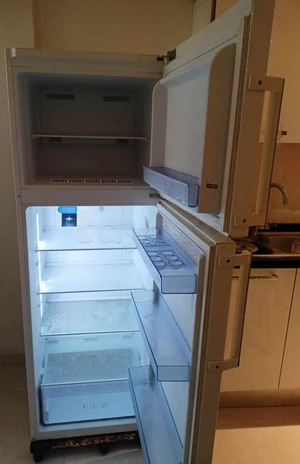 réfrigérateur beko forssssa