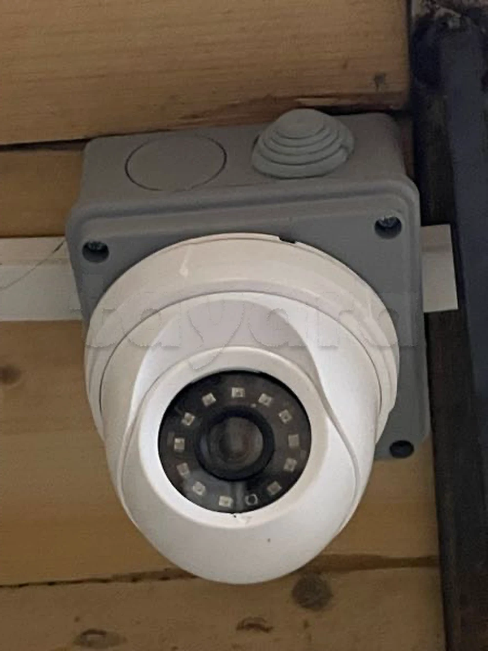 selected image