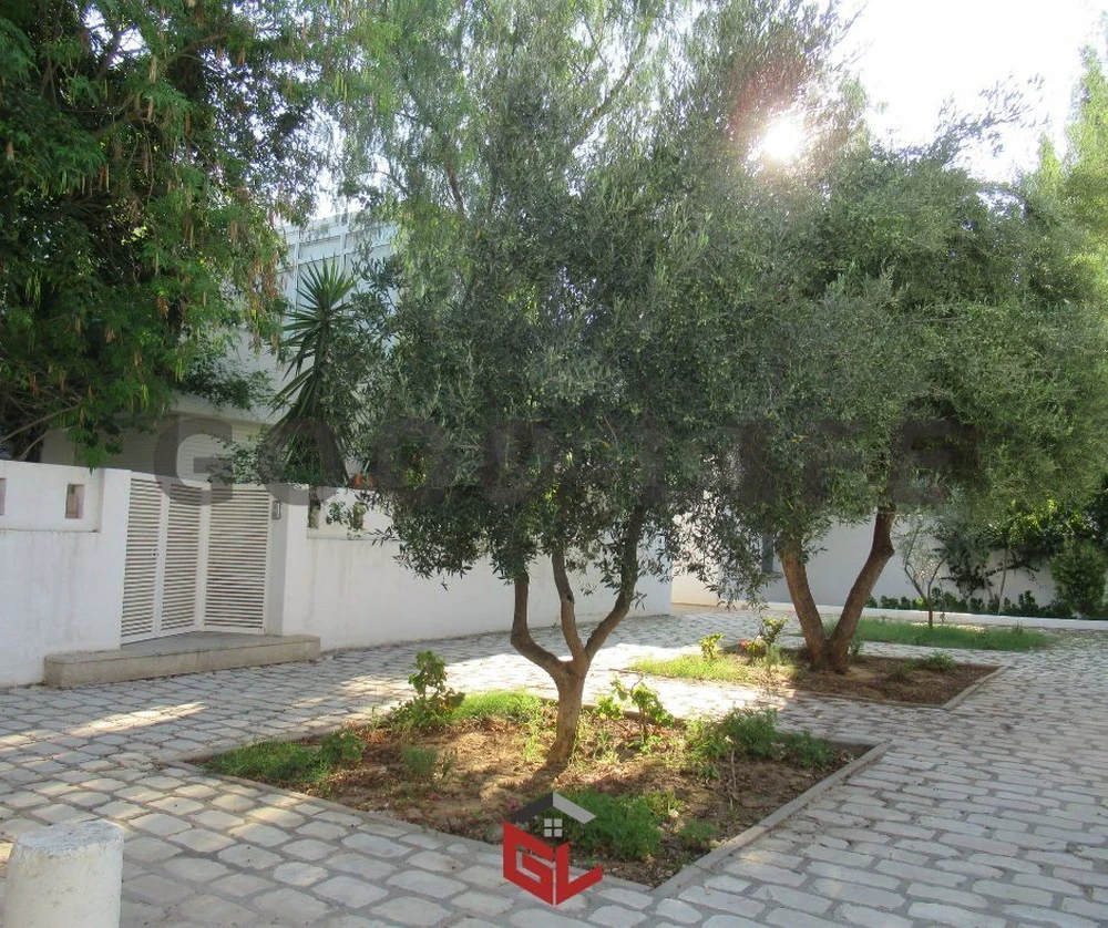 selected image
