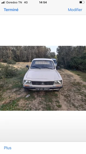 Peugeot 504
