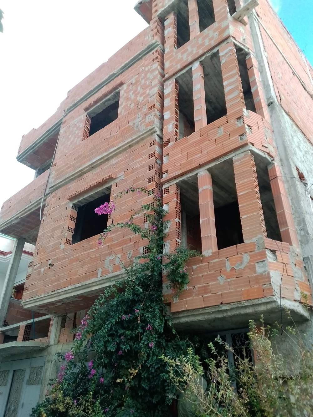selected image