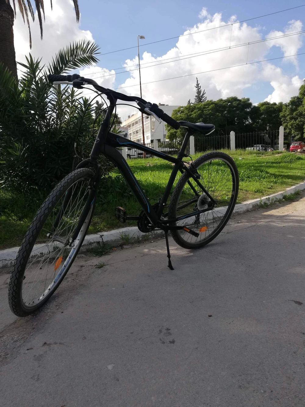 selected image